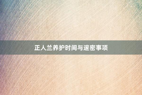正人兰养护时间与邃密事项