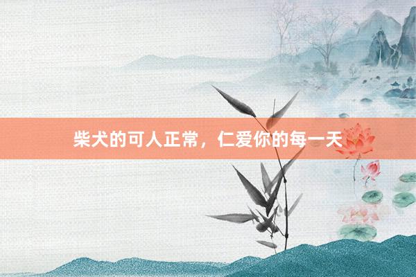 柴犬的可人正常，仁爱你的每一天